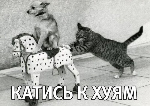 Референдум на Юго-Востоке