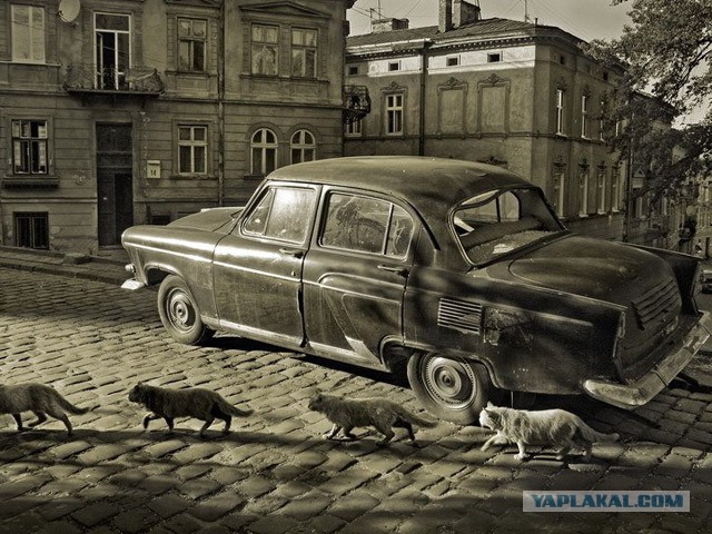 Архивные фотографии