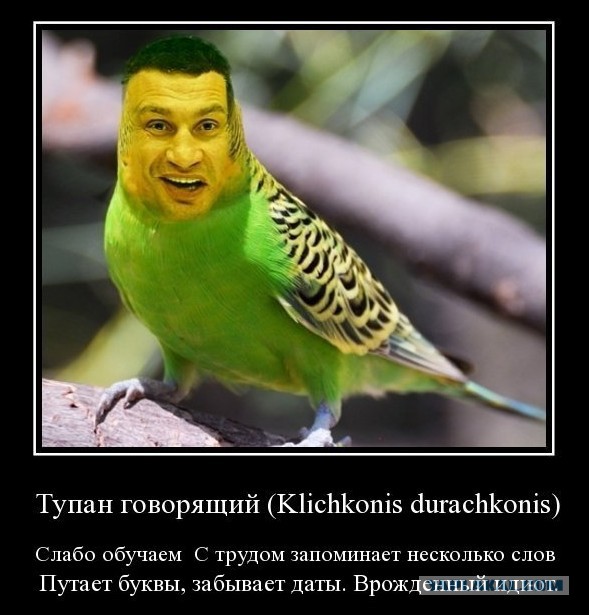Фотошопная "фауна" Украинской Рады