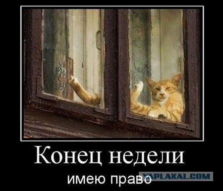 Весёлое из сети