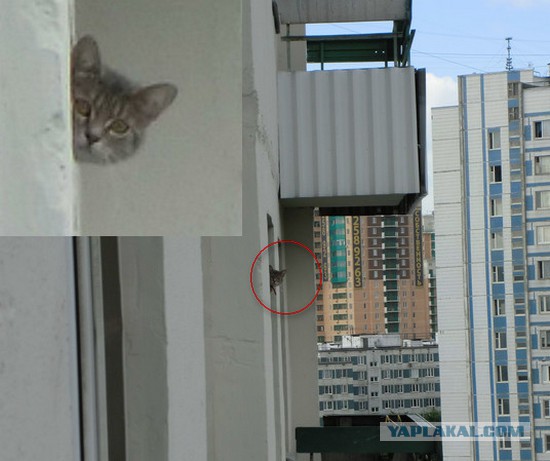 Улыбнёмся?:)