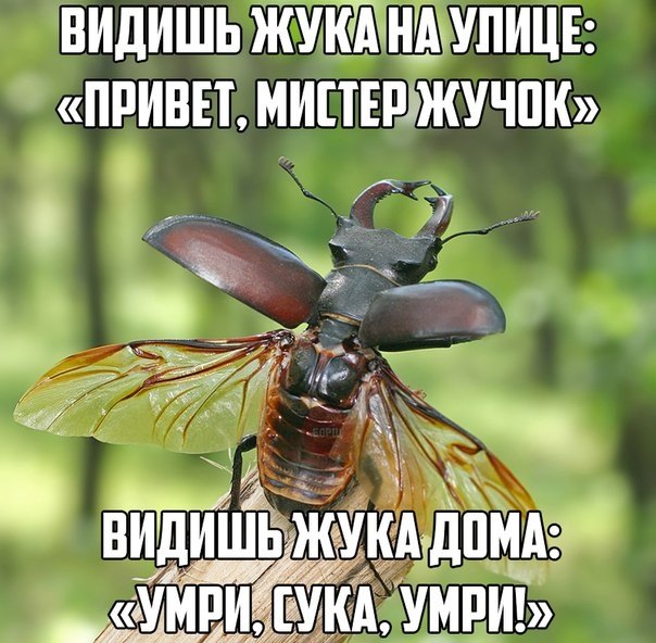 Забавные картинки из Сети