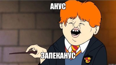Омский дендросад уступит свою территорию храму