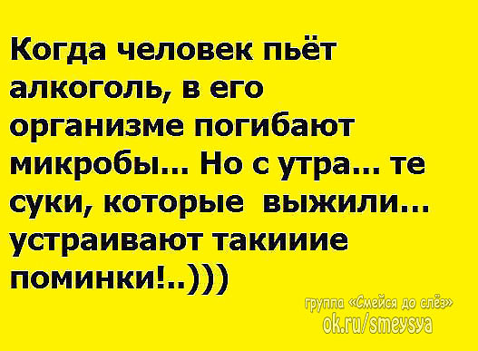 Цитаты из нашей жизни