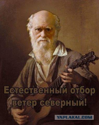 Мгновенная карма