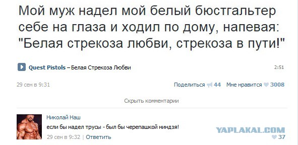 Смешные комментарии из социальных сетей