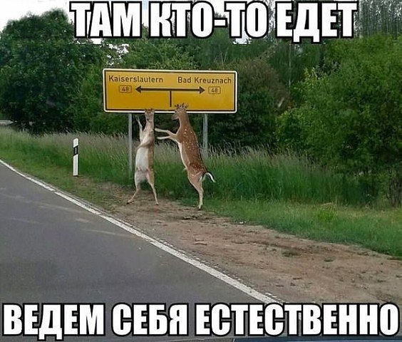 Картинки разные с интернету