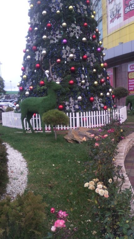 40 фактов о климате России, которые вы не знали