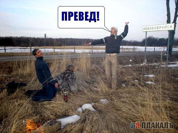 Превед медвед!