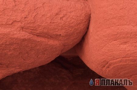 Эта сексуальная природа. РАСТЕНИЯ, ПЕЙЗАЖИ