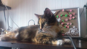 Те, которым мы помогли.