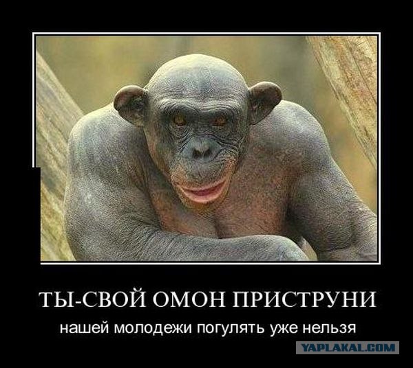 Пенсионер охотился винтовкой времен ВОВ.