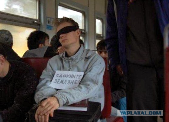 Сетевые картинки улыбательновозбуждающие