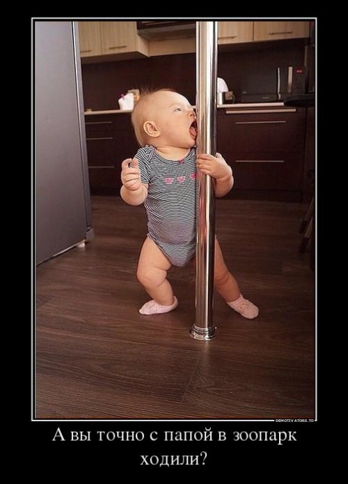 Картинки из сети, подборка