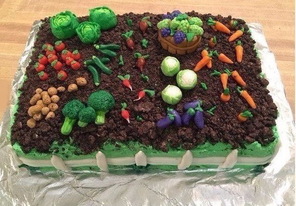 Интересные и веселые картинки