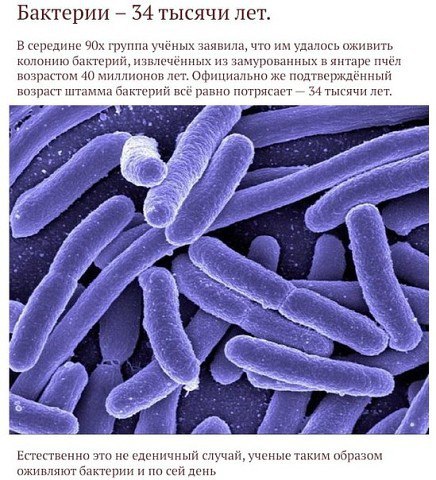 Картинки разные