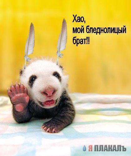 Обалденный позитив!
