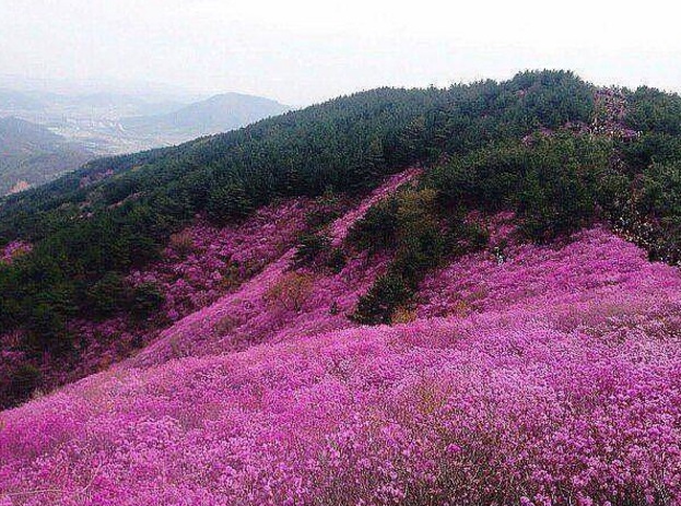 Подборка интересных и веселых фото