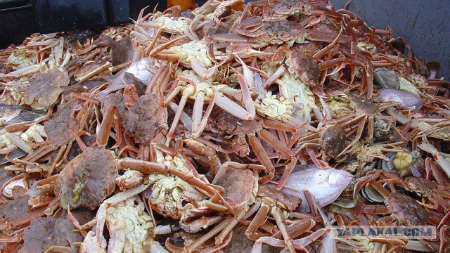 Магадан, старые и новые фотки