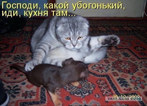 Дочь Джонни Деппа Лили-Роуз пришла на школьный выпускной в платье без бюстгальтера