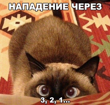Прикольные животные