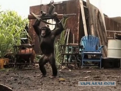 Украина и новое вооружение
