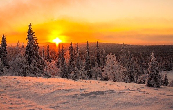 Моменты, запечатлённые на фото и просто позитив 5