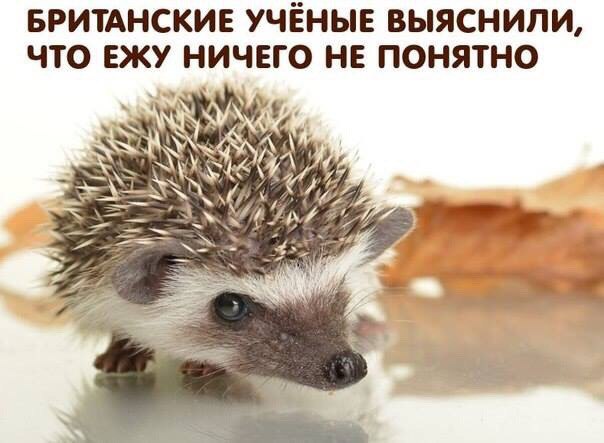 Картинки на пятницу