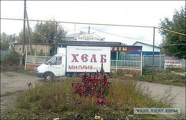 Перлы