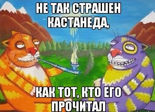 38 картинок