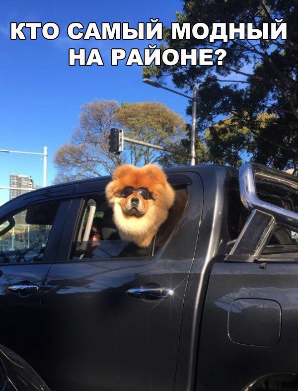 130 картинок для поднятия настроения!