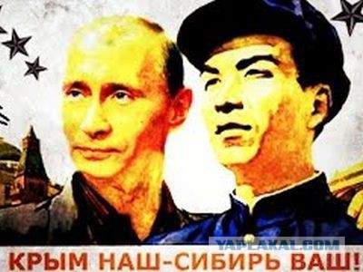 Вырубка леса в Сибири