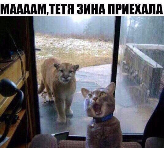 Вспомним былое. Прикольные баяны за 2017 год