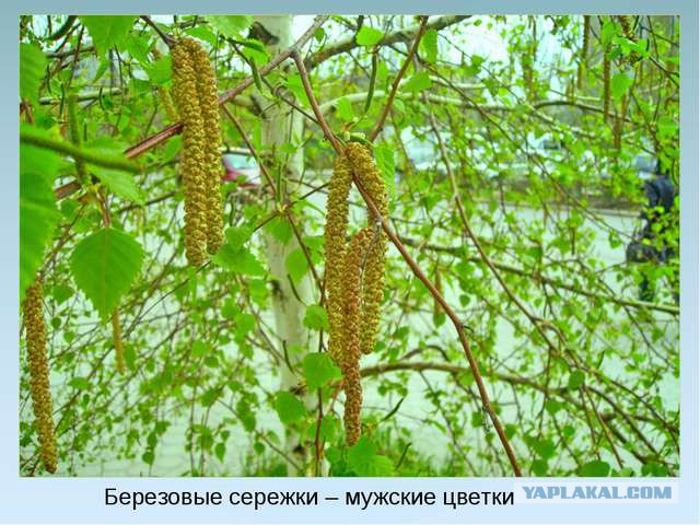 Что происходит с Землей?