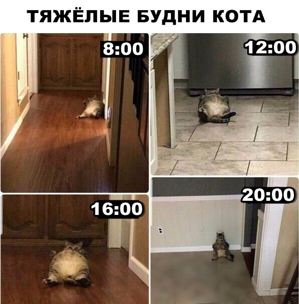 Немного картинок в этот вторник