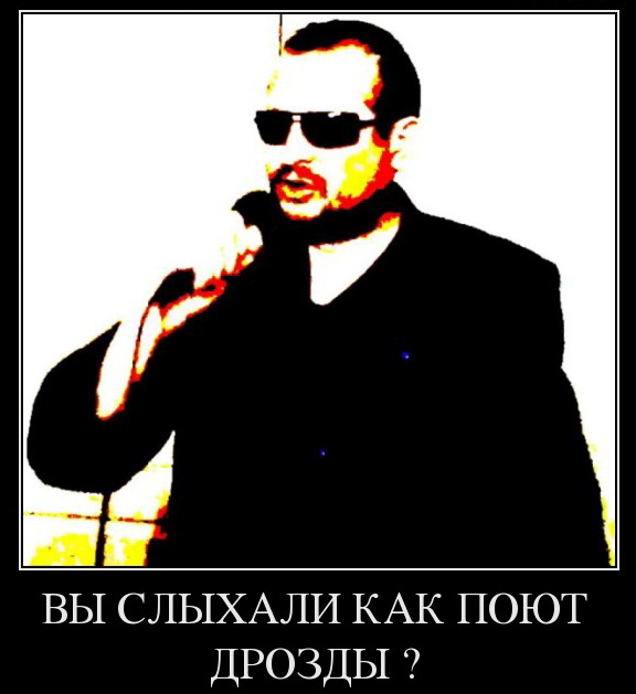 Пашкет, демотиваторы и мемы