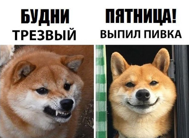 Пятница наступает! Пора начинать деградировать