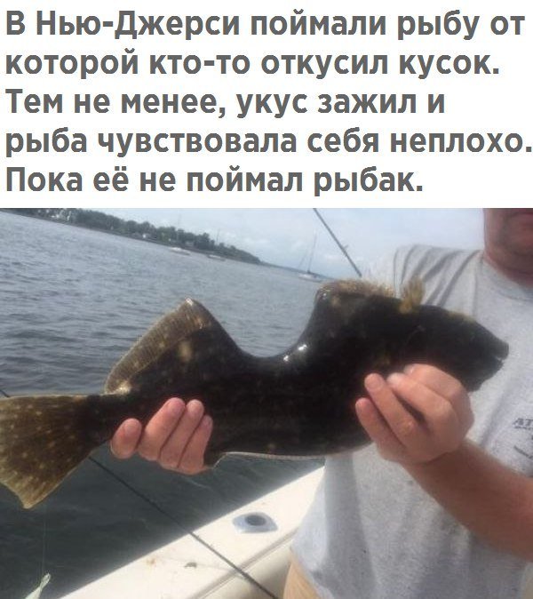 Немного картинок в этот четверг