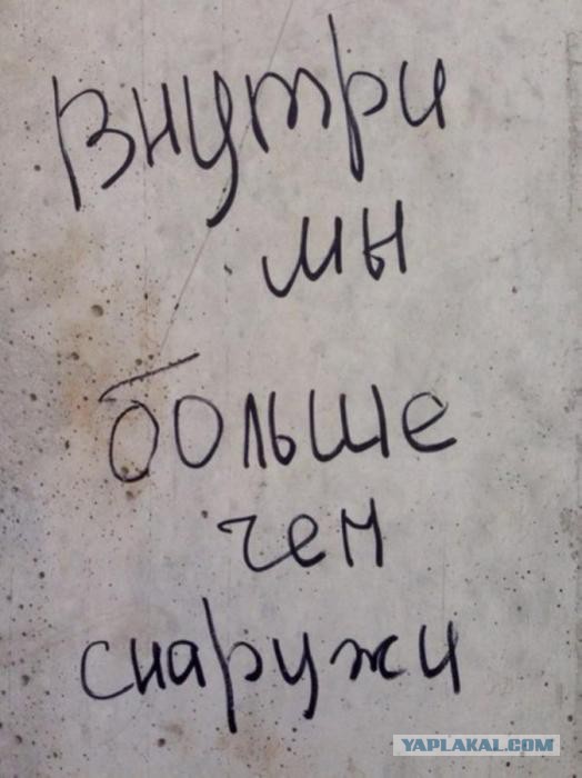 «Бродячие» философы: 17 глубокомысленных заметок в транспорте и на улицах
