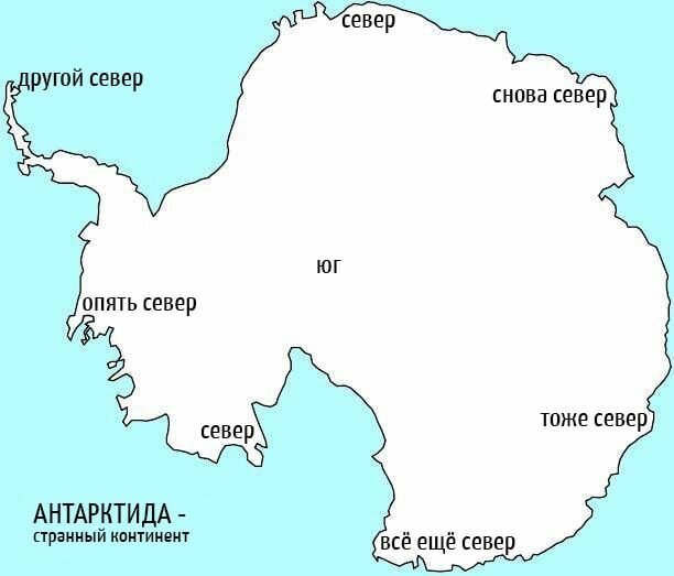 Факты про Антарктиду, которые вы не найдете в учебниках