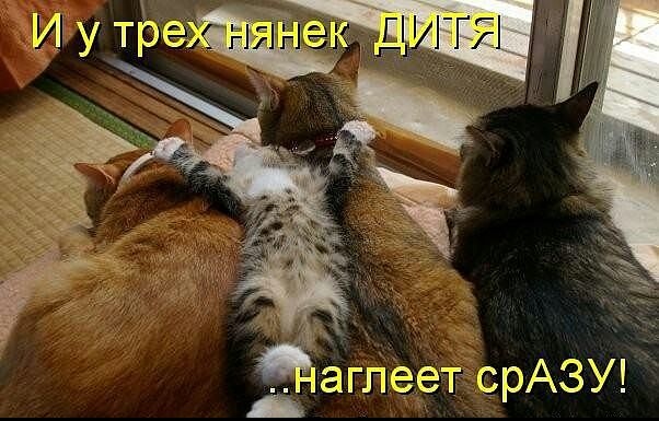 Увидел красивую фотку в инете