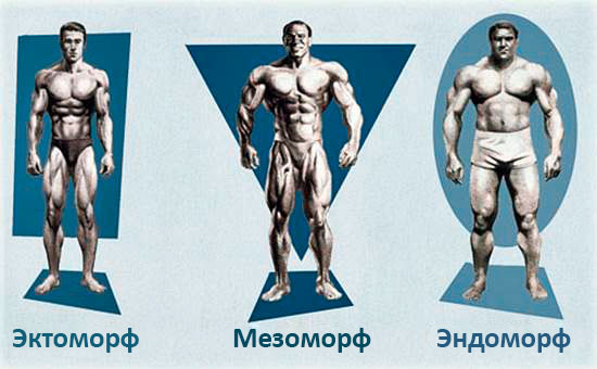 Какой тип фигуры предпочитают женщины... опрос