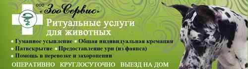 Срочно нужен санитарный самолет