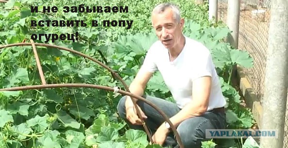 Как правильно привлечь мужика