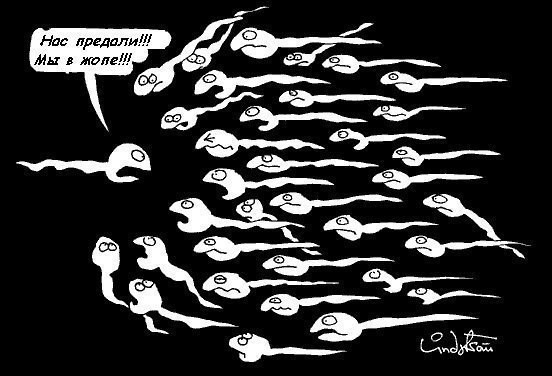 Как на самом деле всё устроено