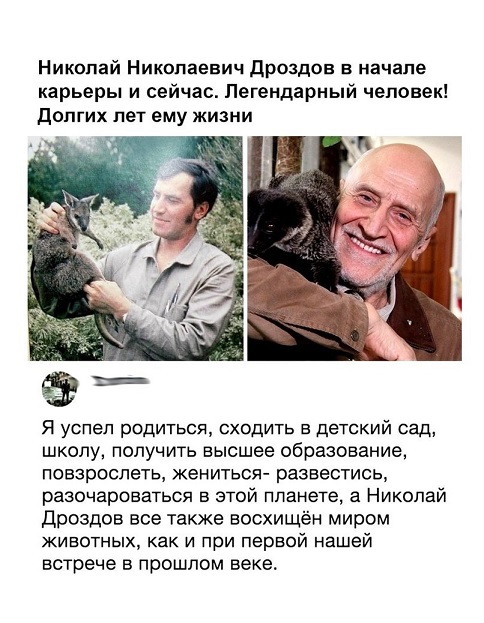 Картинок чуть 03.12.19