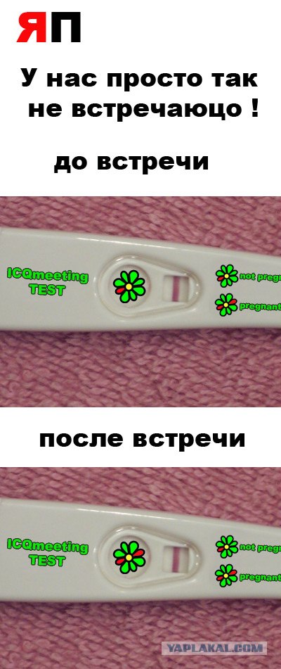 Фотожаба: Наши правила