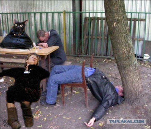Ух, уболтала!