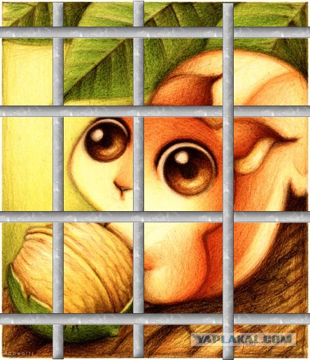 Игра: Ассоциации на ник пользователей ЯПлакалъ