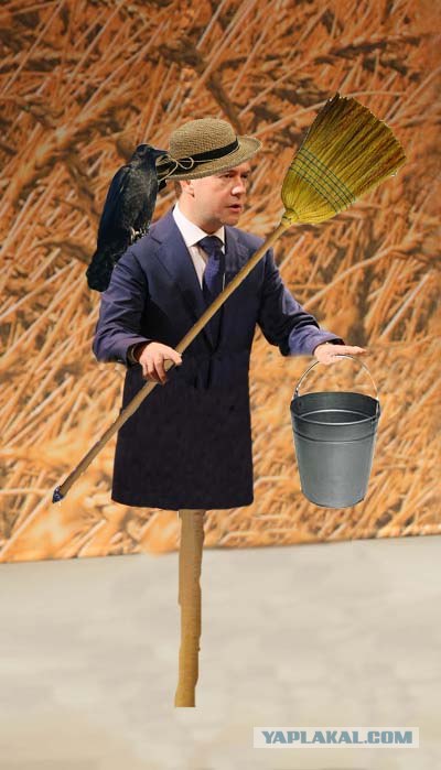 На трибуне